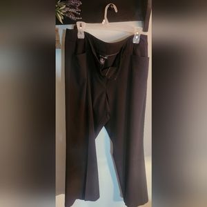 Lane Bryant dress pants
